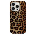 Wild Cats - 0087