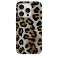 Wild Cats - 0097