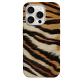Wild Cats - 0088